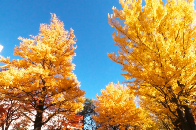 2027年卒向けの求人票ができました！
