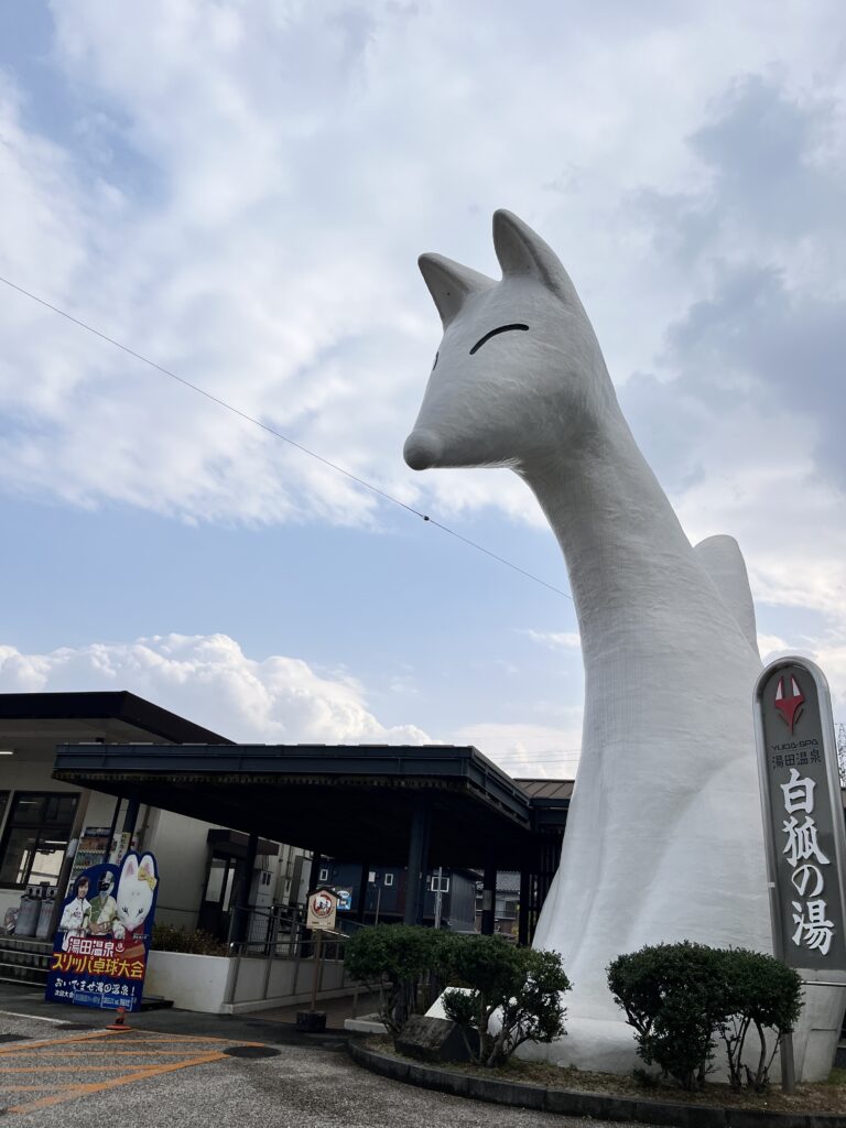 東のキツネ🦊　西のクマ🐻